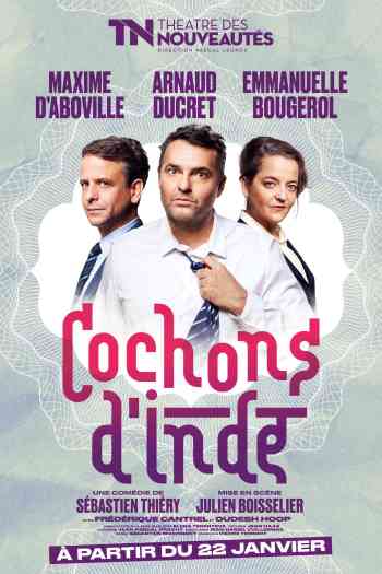 Affiche pour Cochons d'Inde