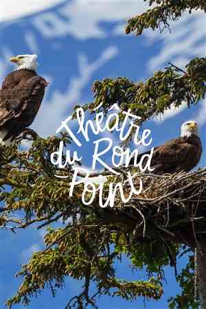 Affiche pour Tout est calme dans les hauteurs